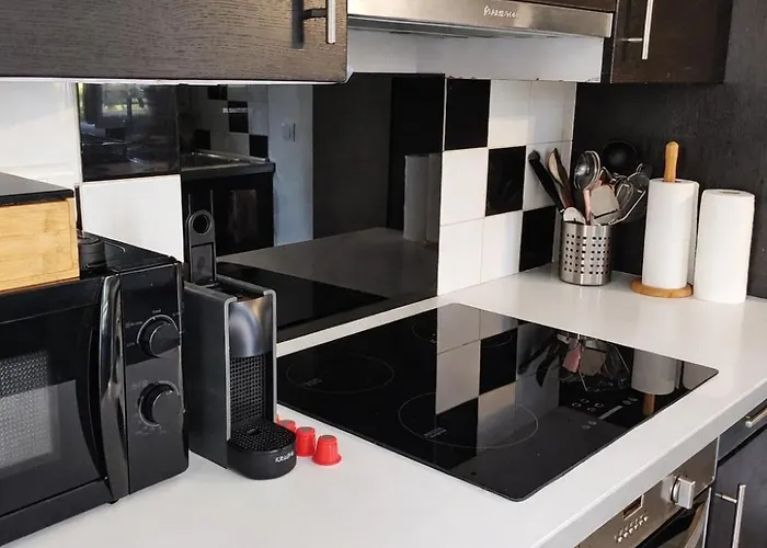 La Maison Badine, Air-conditioned Triplex شقة أنتيب